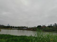 -海珠湖公园
