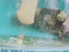 -008海鲜排档(朱家尖2号店)