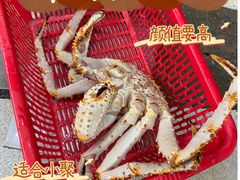-蚝专家(北滘店)