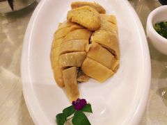 三黄鸡-顺风海鲜港(金玉兰店)