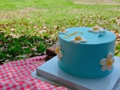 -Dark Horse·黑马蛋糕·低脂·低糖淡奶(金匙望湖大厦店)