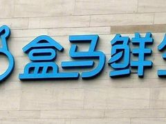 门面-盒马鲜生(杭州运河上街店)