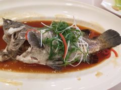 -名苑皇宫酒家(来魅力壁画村店)