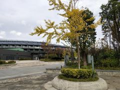 -上海滴水湖皇冠假日酒店