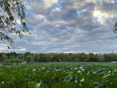 -长春市南湖公园