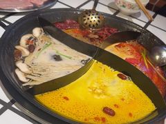 -朱光玉火锅馆(正弘城店)