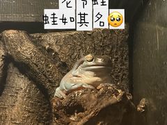 -深圳野生动物园