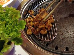 -杨记齐齐哈尔烤肉(总店)