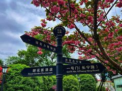 -中山公园