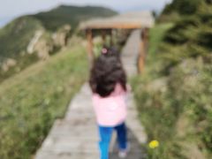 -白草畔自然风景区