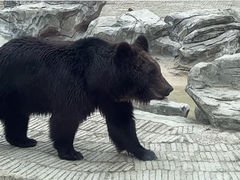 -黔灵山公园