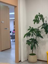 -上海伊莱美医疗美容医院