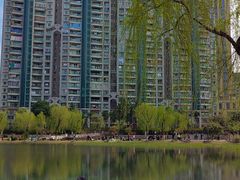 -西北湖绿化广场