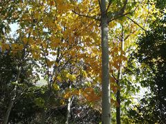 -清凉寺