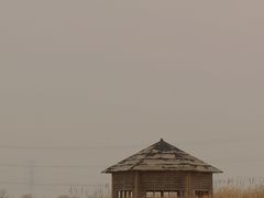 -宁波杭州湾国家湿地公园