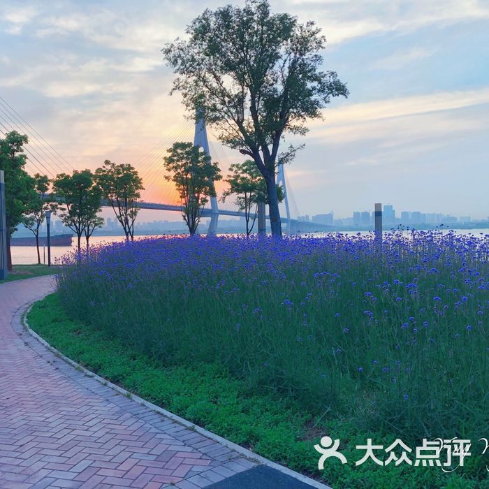 洪湖江滩公园图片