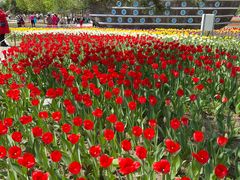 -长春公园(普阳街道)