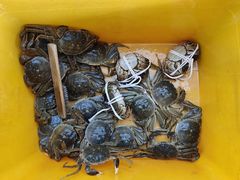 -蟹天蟹地农家菜·阳澄湖大闸蟹(浅水湾店)