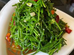 凉拌沙葱-景泰县马老二羊羔肉美食城