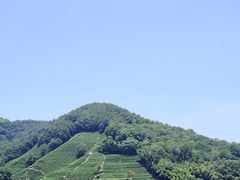 -龙井村
