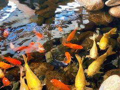 -山有花啡餐厅(常营总店)