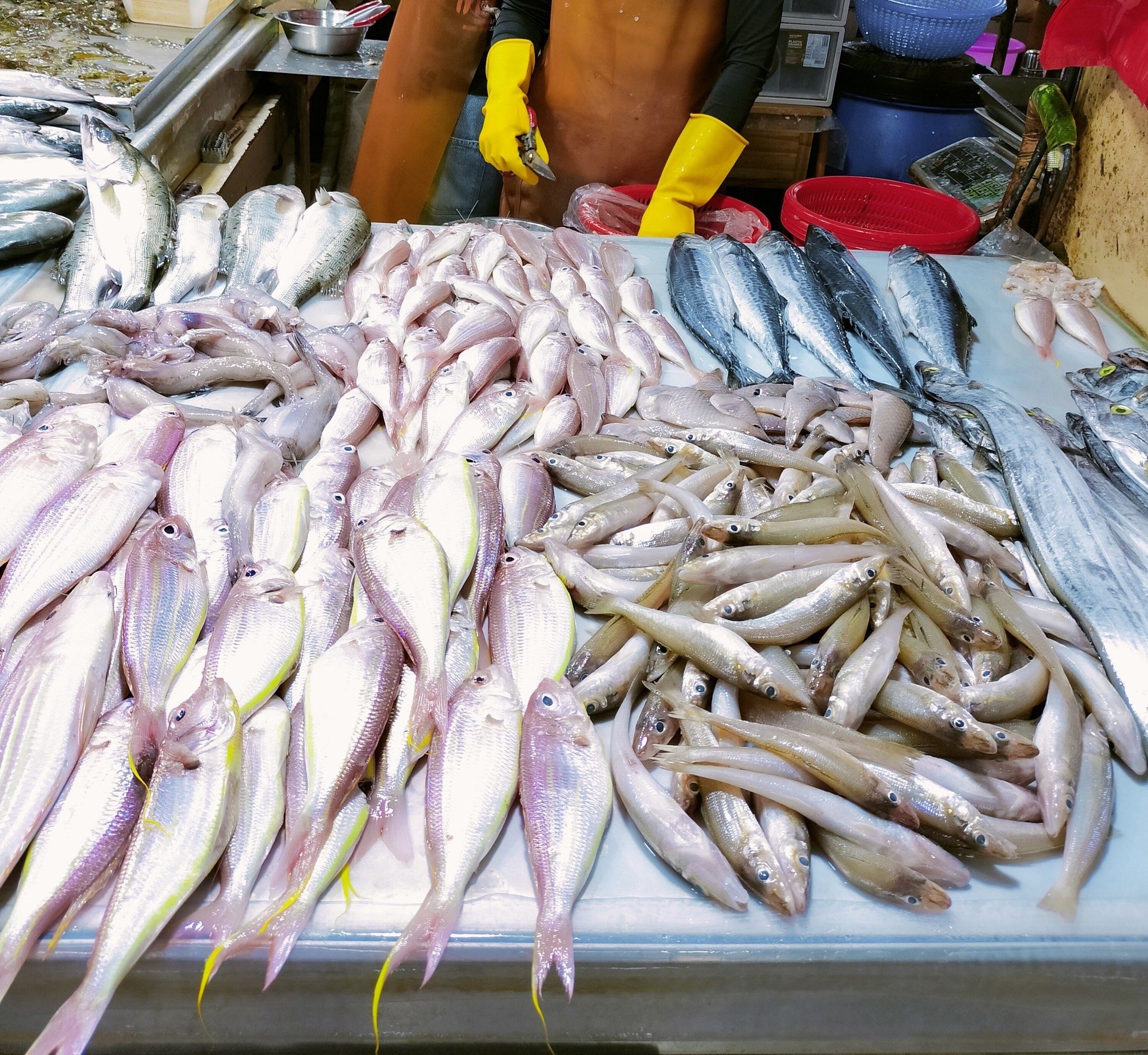 海鲜市场买鱼,老板最害怕听到的一句话
