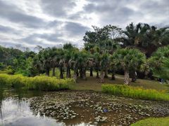 景点-中国科学院西双版纳热带植物园