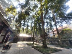 -都江堰普照寺