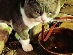 -随园花园餐厅(新港中路店)