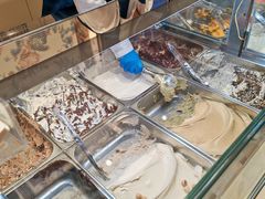 -VENCHI 闻绮(上海佛罗伦萨小镇店)