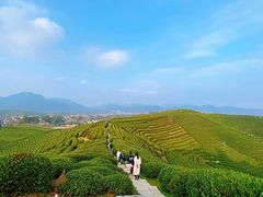 -龙坞茶村