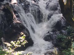 -莫里热带雨林景区