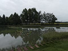 -中国天府农业博览园