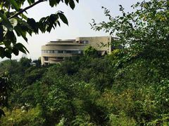 -府君山公园