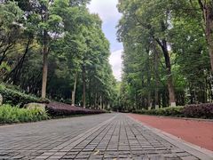 -龙头寺公园