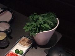 -同仁四季椰子鸡(宝安壹方城店)