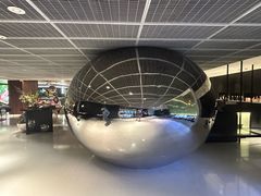 -CHIC1699远洋私厨
