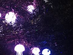 -贵阳蓬莱仙界