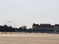 -日照海滨国家森林公园