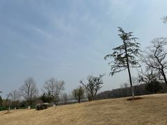 -盘龙城国家考古遗址公园