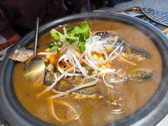-探鱼·鲜青椒爽麻烤鱼(苏宁广场店)
