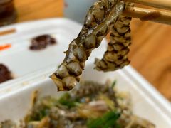 -陈添記·祖傳爽鱼皮·西关老字号(广州首店)