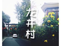 -龙井村