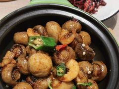 金钩虾干蘑菇-尚一汤 广东炖汤(金桥国际店)