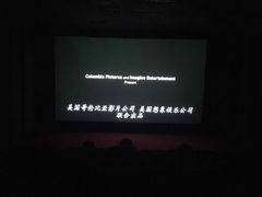 -华美国际影城(旧宫永辉店)