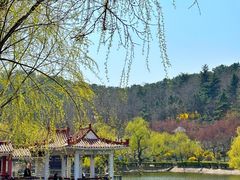 -北岭山森林公园
