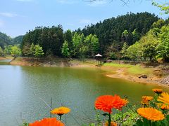 -千岛湖龙川湾