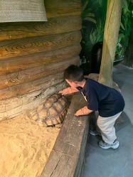 -Zoolung Zoolung动物主题公园(海信广场店)