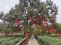 -龙井壹号·茶缘山景宴(龙井村店)