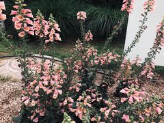 -陕西省西安植物园
